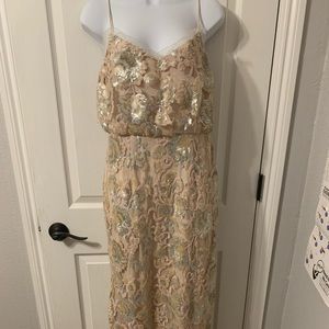 Adrianna Pappell Sequin Dress